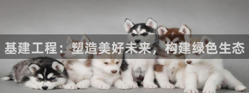 众腾娱乐毕 7O935